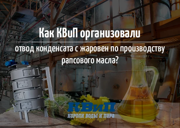 Как КВиП организовали отвод конденсата с жаровен по производству рапсового масла Как КВиП организовали отвод конденсата с жаровен по производству рапсового масла