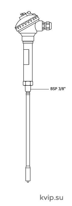 Датчик проводимости CP42.Рисунок 1.