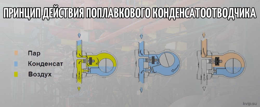 Проверьте свой проект БЕСПЛАТНО!