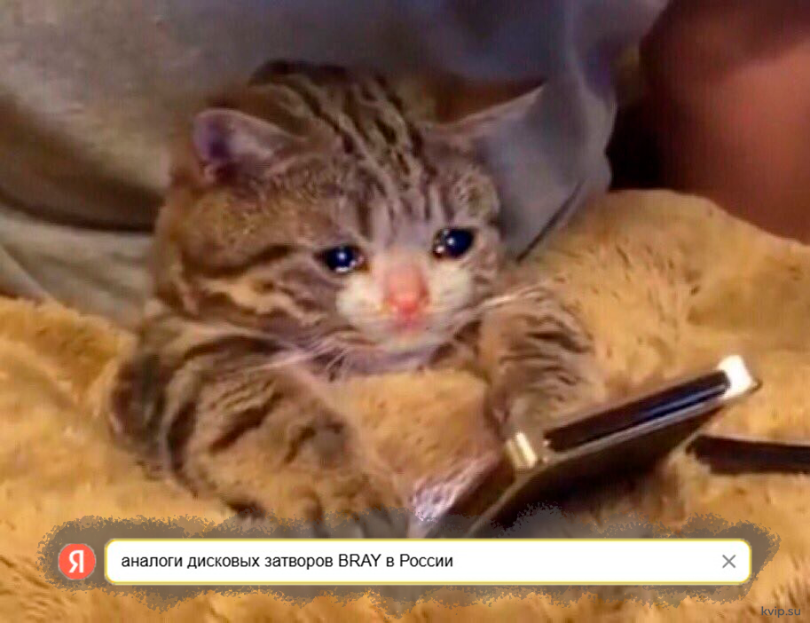 Аналоги дисковых затворов bray